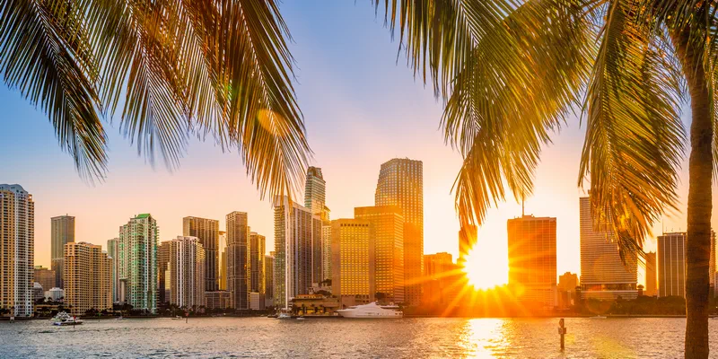 Dating in Miami today