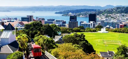 Dating in Wellington Today: Online Dating, Apps, and Real Relationship Trends