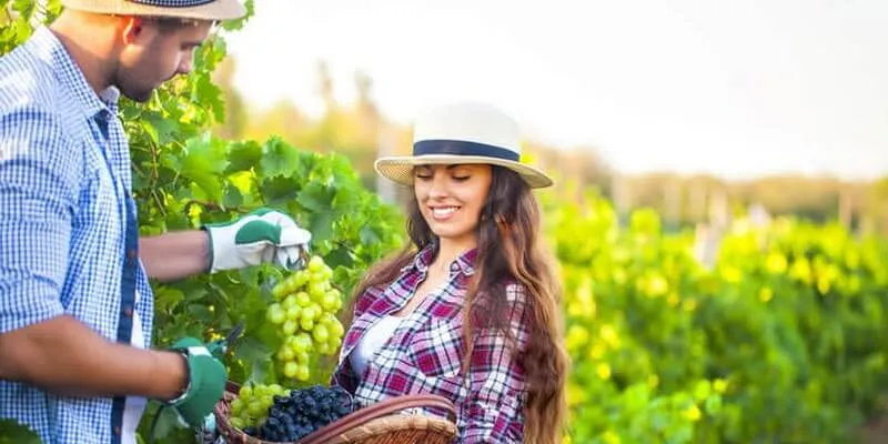Dating a Farmer