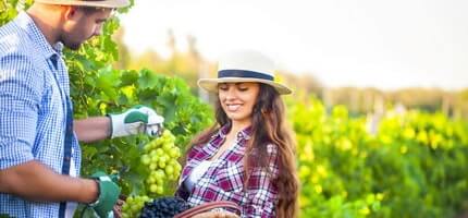 Farmers Dating in 2025: Everything You Need to Know