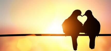 Hints on how to find a girlfriend in 2025