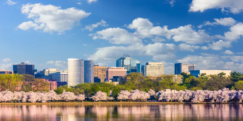 Where to meet women in Washington DC