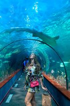 Ukrainian woman for marriage olena from kiev with Light Brown hair age 35 photo-18