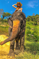 Single Ukrainian lady kristina from kharkov with Blonde hair age 29 photo-3