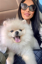 Ukrainian girl for marriage karina from odessa with Black hair age 31 photo-7